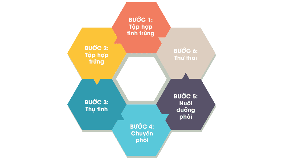 tiem-tinh-trung-vao-bao-tuong-noan-4