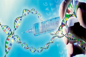 sang-loc-phoi-di-tat-sinh-con-theo-y-muon-voi-ki-thuat-pgd/-4