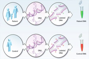 sang-loc-phoi-di-tat-sinh-con-theo-y-muon-voi-ki-thuat-pgd/-5