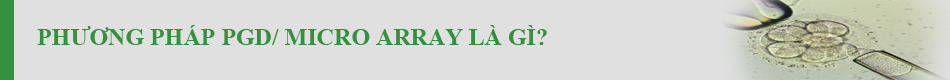 PGD/ Micro Array: Kĩ thuật kiểm tra NST tiền chuyển phôi sang-loc-phoi-di-tat-sinh-con-theo-y-muon-voi-ki-thuat-pgd/-1