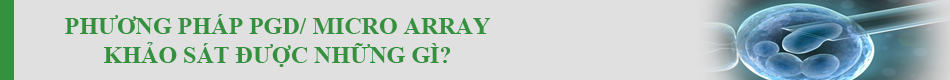 PGD/ Micro Array: Kĩ thuật kiểm tra NST tiền chuyển phôi sang-loc-phoi-di-tat-sinh-con-theo-y-muon-voi-ki-thuat-pgd/-3