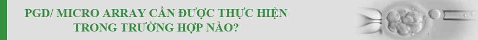 PGD/ Micro Array: Kĩ thuật kiểm tra NST tiền chuyển phôi sang-loc-phoi-di-tat-sinh-con-theo-y-muon-voi-ki-thuat-pgd/-6