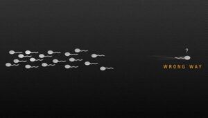 Giải mã hiện tượng xuất tinh ngược dòng, xuất tinh ngược dòng