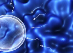 Cẩn trọng với dấu hiệu vô sinh do bất thường tinh dịch