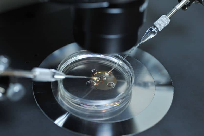 Điều trị vô sinh nhờ phương pháp ứng dụng tế bào gốc 3 điều trị vô sinh ứng dụng tế bào gốc