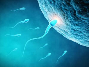 Tìm ra phương pháp chữa bệnh vô sinh bằng tinh trùng nhân tạo