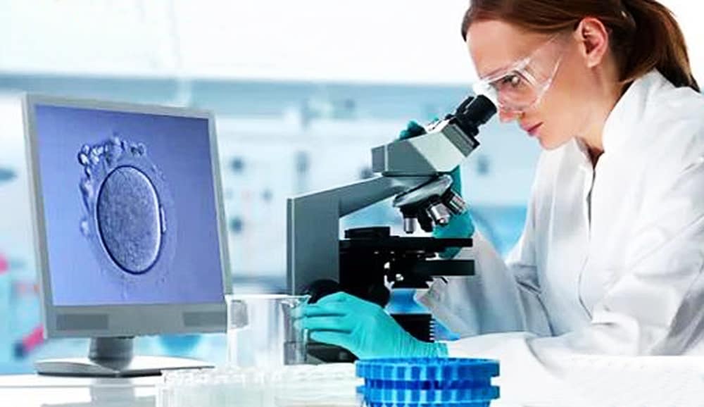 Phát hiện mới làm tăng tỷ lệ thành công trong điều trị vô sinh cho phụ nữ lớn tuổi 5 Phát hiện mới làm tăng tỷ lệ thành công trong điều trị vô sinh cho phụ nữ lớn tuổi 4