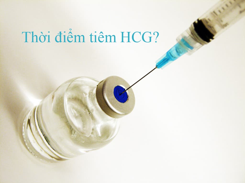 Vì sao điều trị vô sinh bằng IVF thất bại? 5 Vì sao điều trị vô sinh bằng IVF thất bại? 4