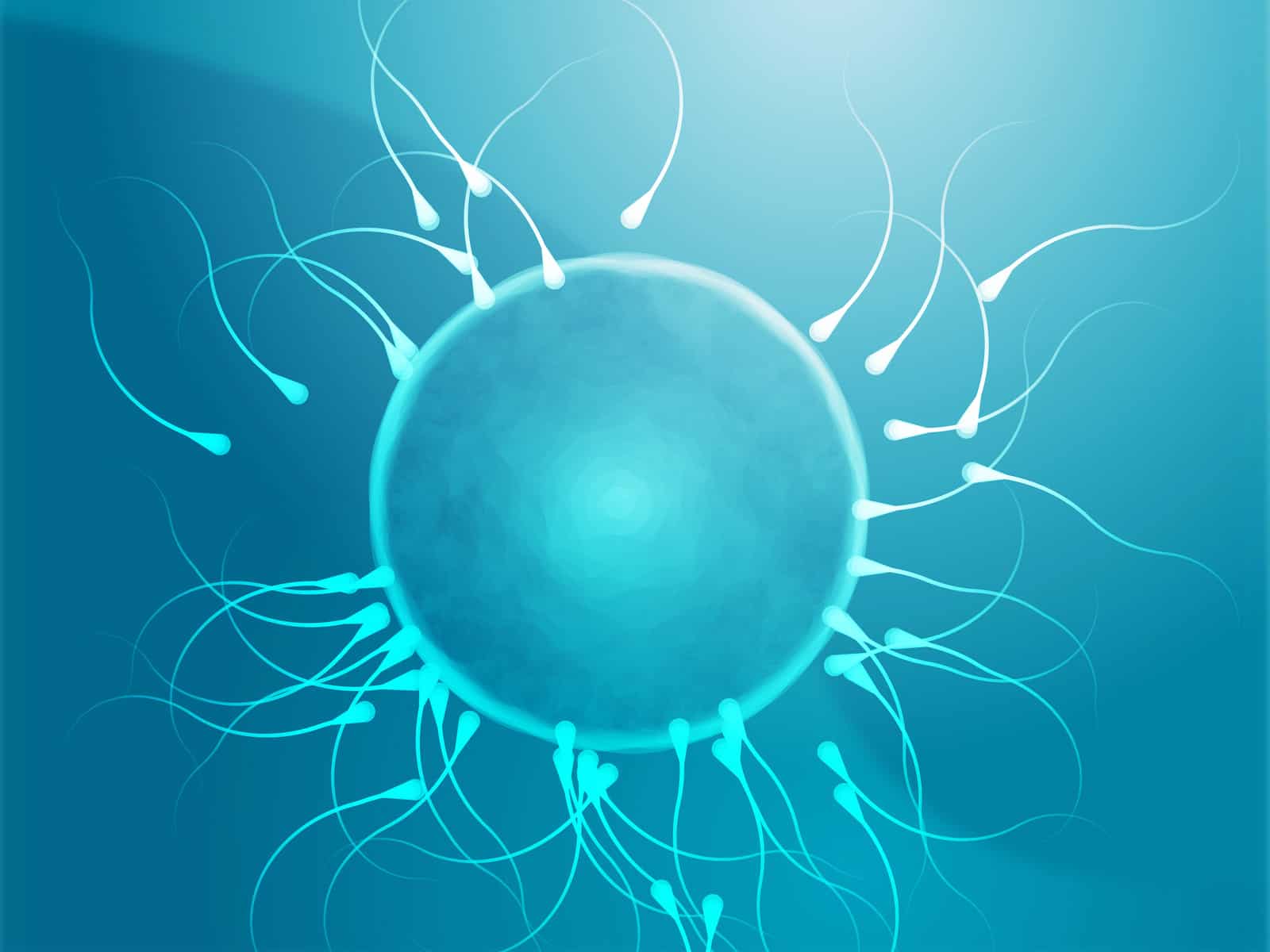 Nghiên cứu cơ chế mới để phát hiện vô sinh nam 7 Nghiên cứu cơ chế mới để phát hiện vô sinh nam 6