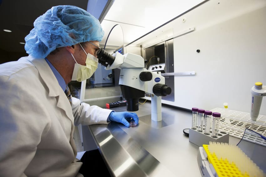 Nghiên cứu cơ chế mới để phát hiện vô sinh nam 3 Nghiên cứu cơ chế mới để phát hiện vô sinh nam 2