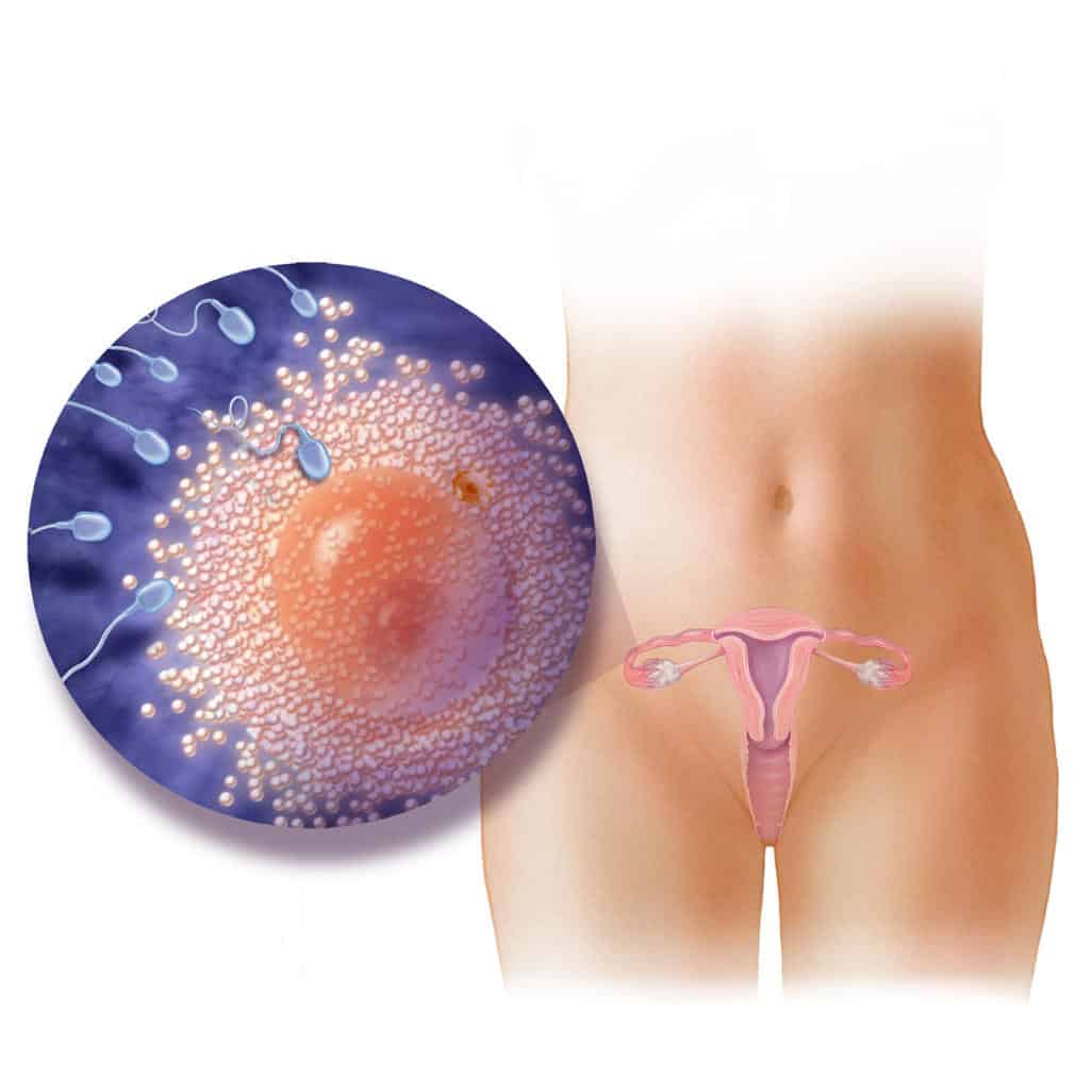 xét nghiệm vô sinh nữ