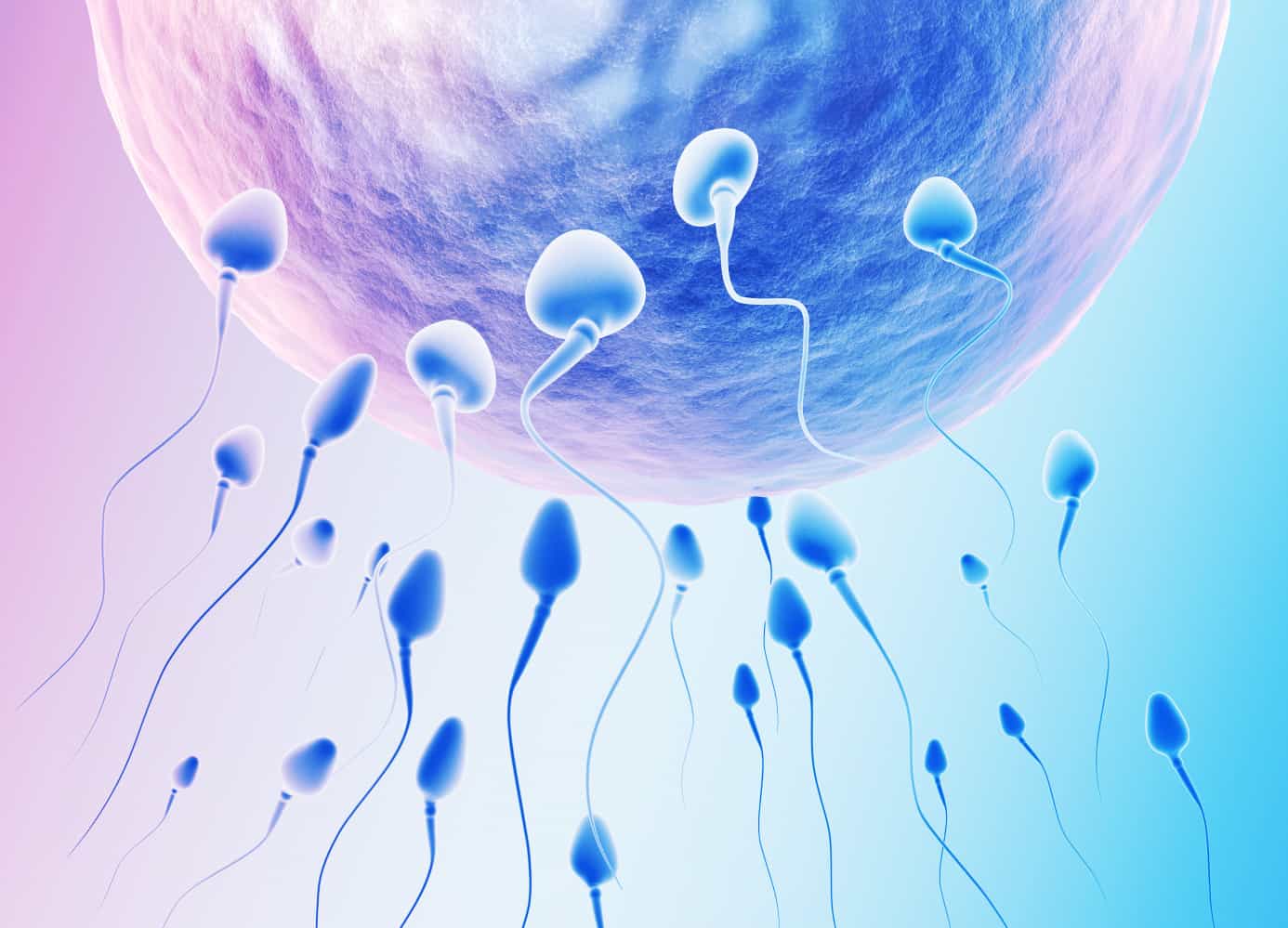 Điều trị vô sinh bằng IUI 2