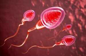 nam giới cần biết về tinh trùng 3