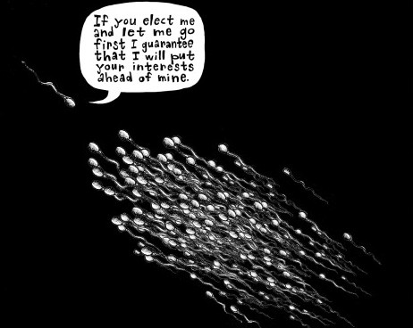 nam giới cần biết về tinh trùng 4