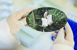 chữa vô sinh nam hiệu quả 2