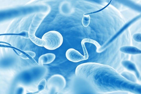 nhung-bien-phap-khac-phuc-tinh-trung-loang-1