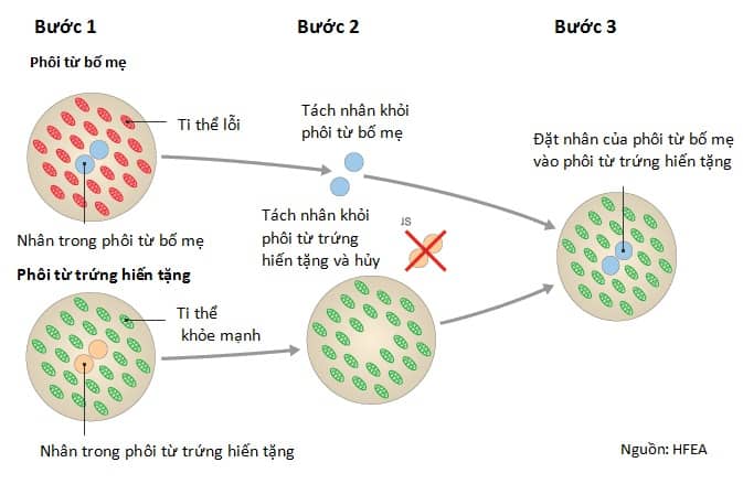 Ưu điểm của phương pháp IVF “3 gene” uu-diem-cua-phuong-phap-IVF-3-gene