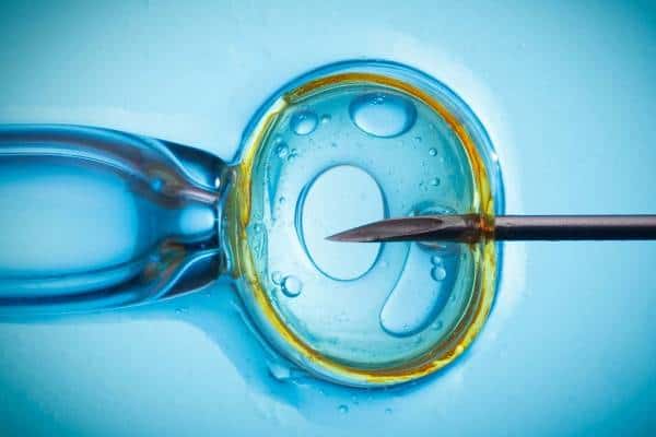 Những yêu cầu đối với người cho trứng nhung-dieu-can-biet-ve-xin-trung-thu-tinh-ong-nghiem-3