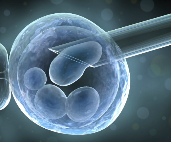 dau-hieu-co-thai-sau-chuyen-phoi