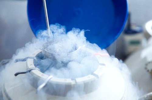 Đông lạnh trứng nhung-moc-ra-doi-quan-trong-cua-cac-phuong-phap-ho-tro-sinh-san-4.