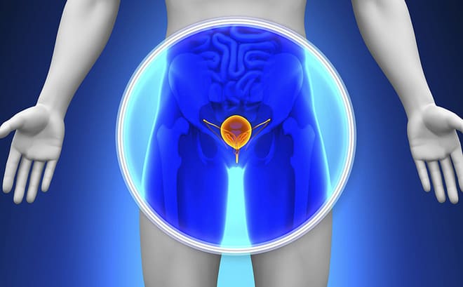 Thực hư chuyện uống sữa đậu nành gây vô sinh nam thuc-hu-viec-uong-sua-dau-nanh-gay-vo-sinh-nam-gioi-3