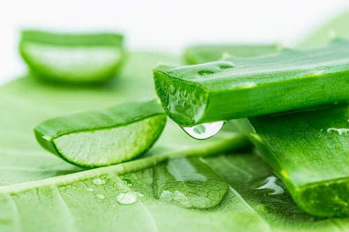 10 loại thực phẩm giúp điều hòa kinh nguyệt hiệu quả 10 loại thực phẩm giúp điều hòa kinh nguyệt hiệu quả