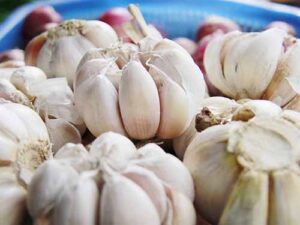 nhiem-trung-duong-tieu-nen-an-gi-3