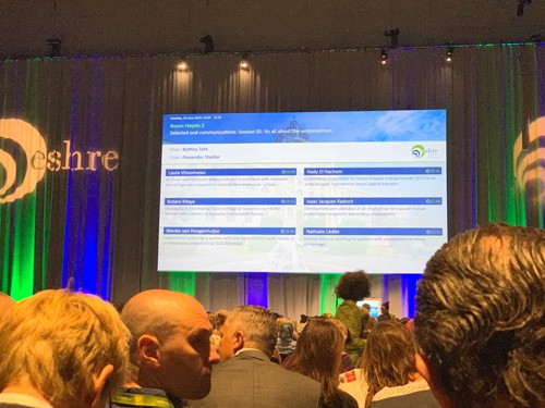 niêm mạc tử cung