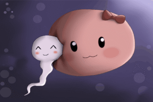 vai trò của tinh trùng