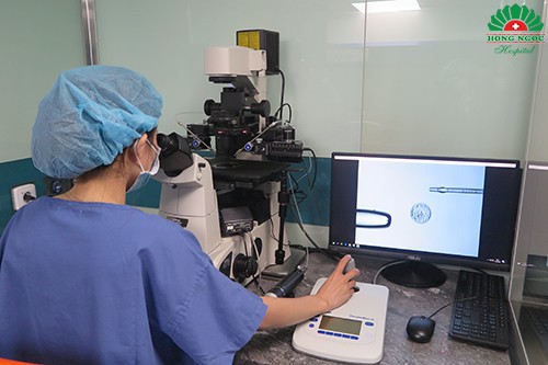 đánh giá chất lượng phôi