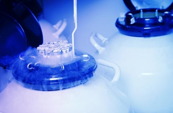 Đông lạnh có làm giảm chất lượng phôi không?