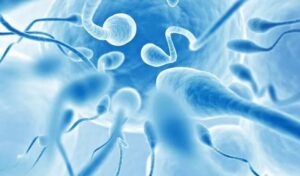 Tinh trùng gặp nước