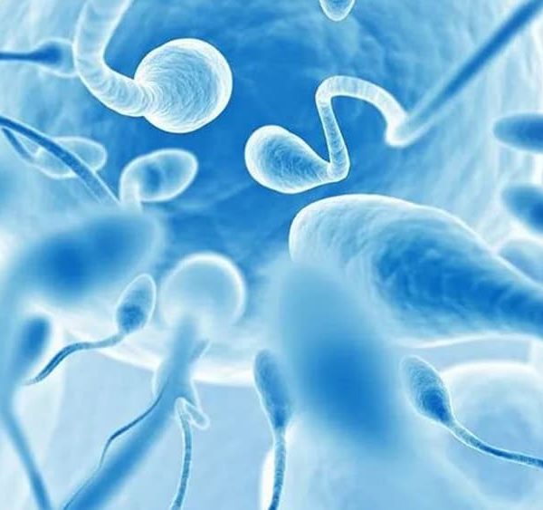 Tinh trùng gặp nước