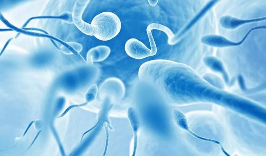 Tinh trùng gặp nước