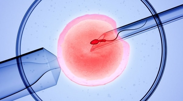 Quy trình thăm khám và điều trị vô sinh tại Trung tâm IVF Hồng Ngọc