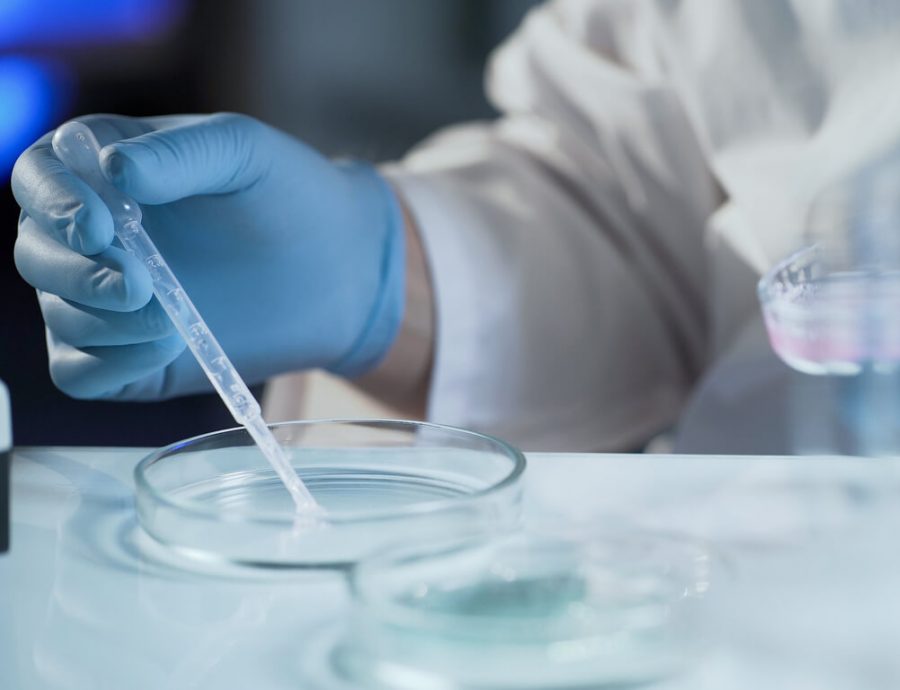 thất bại làm tổ