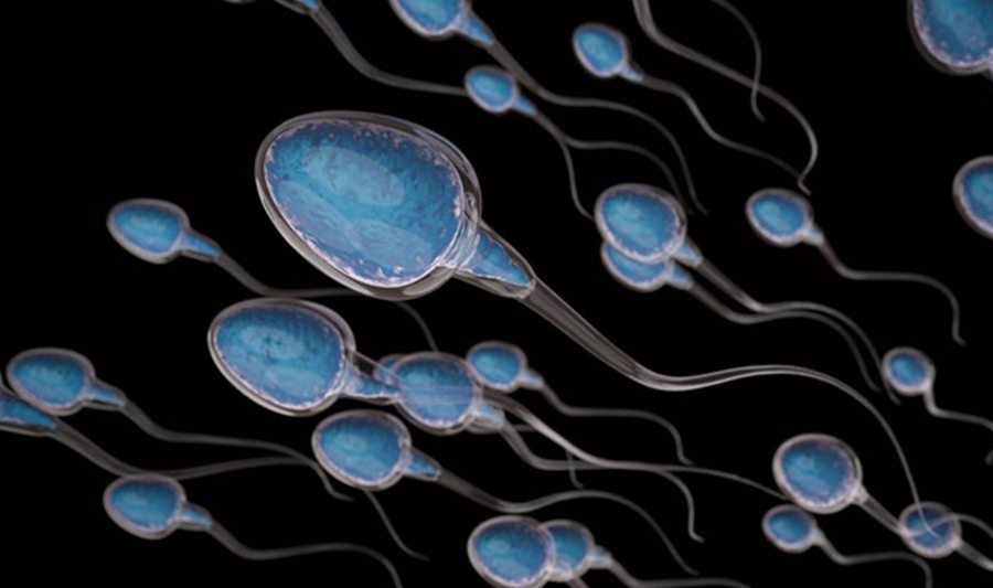 sức khỏe sinh sản nam giới