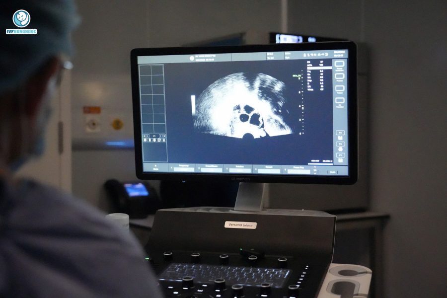 Bác sĩ hỗ trợ sinh sản thực hiện quá trình thụ tinh ống nghiệm (IVF) kết hợp sàng lọc phôi cho bệnh nhân Bác sĩ hỗ trợ sinh sản thực hiện quá trình thụ tinh ống nghiệm (IVF) kết hợp sàng lọc phôi cho bệnh nhân